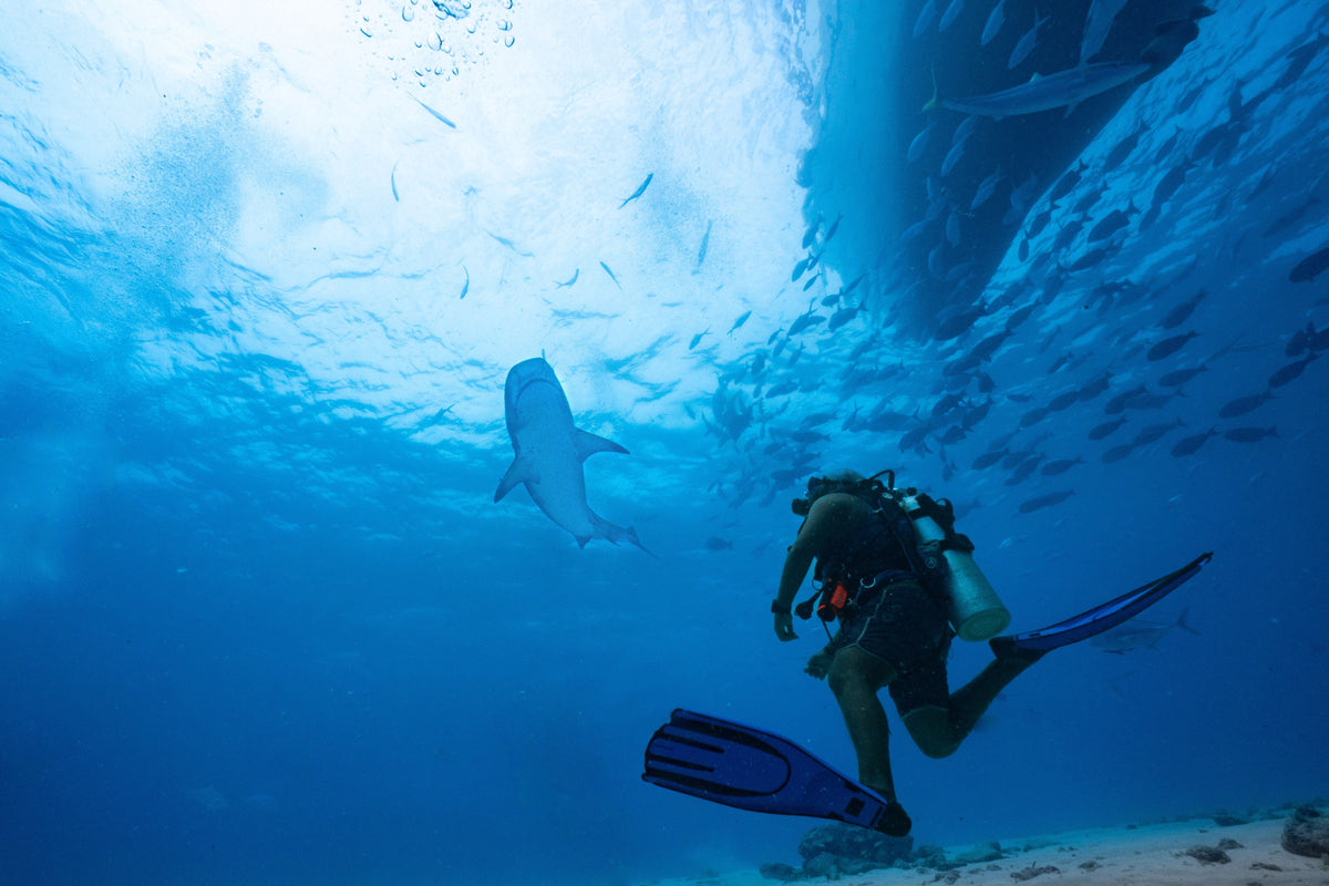 Bienvenidos a Historias de Buceo
